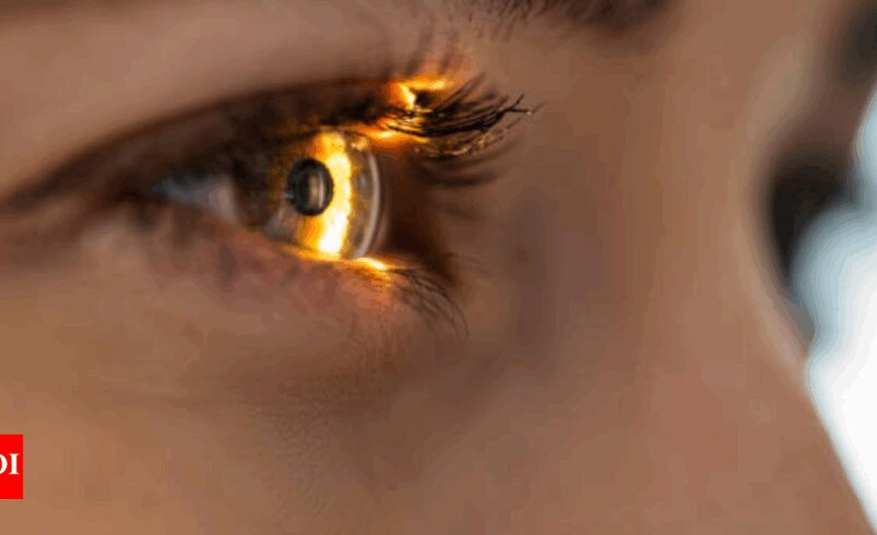 World Retina Day: Doctors say small habits pay off big in protecting your vision daily