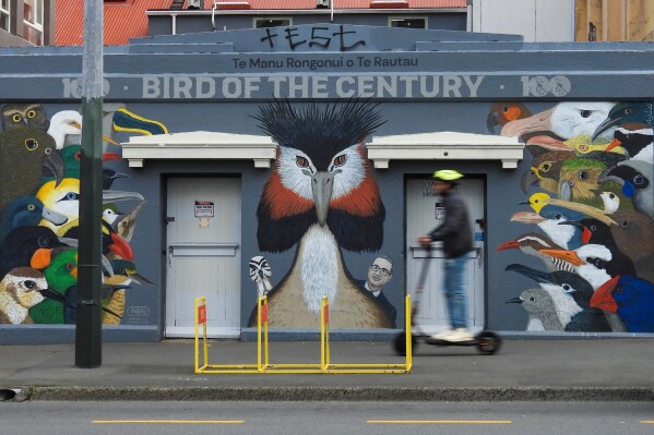 A man rides past a mural celebrating John Oliver's New Zealand's 2023 Bird of the Year campaign in Wellington, New Zealand, Sunday, Sept. 15, 2024. (AP Photo/Charlotte Graham-McLay, File)