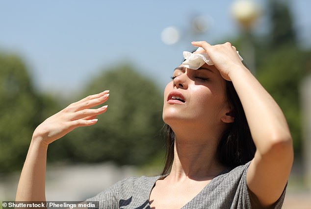 Women between 31 and 60 were found to be at the highest risk for heart attacks on days where the Earth's magnetic field is disrupted by the sun (Stock Image)