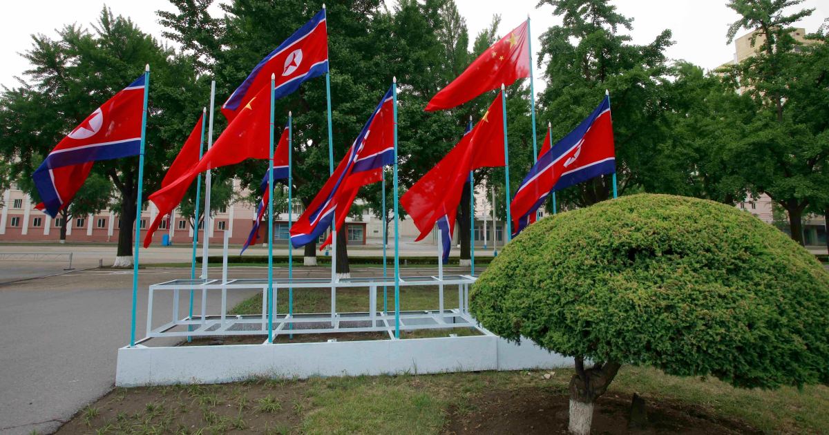 China and North Korea agree to resist ‘hegemony’, Foreign Ministry says | Politics News