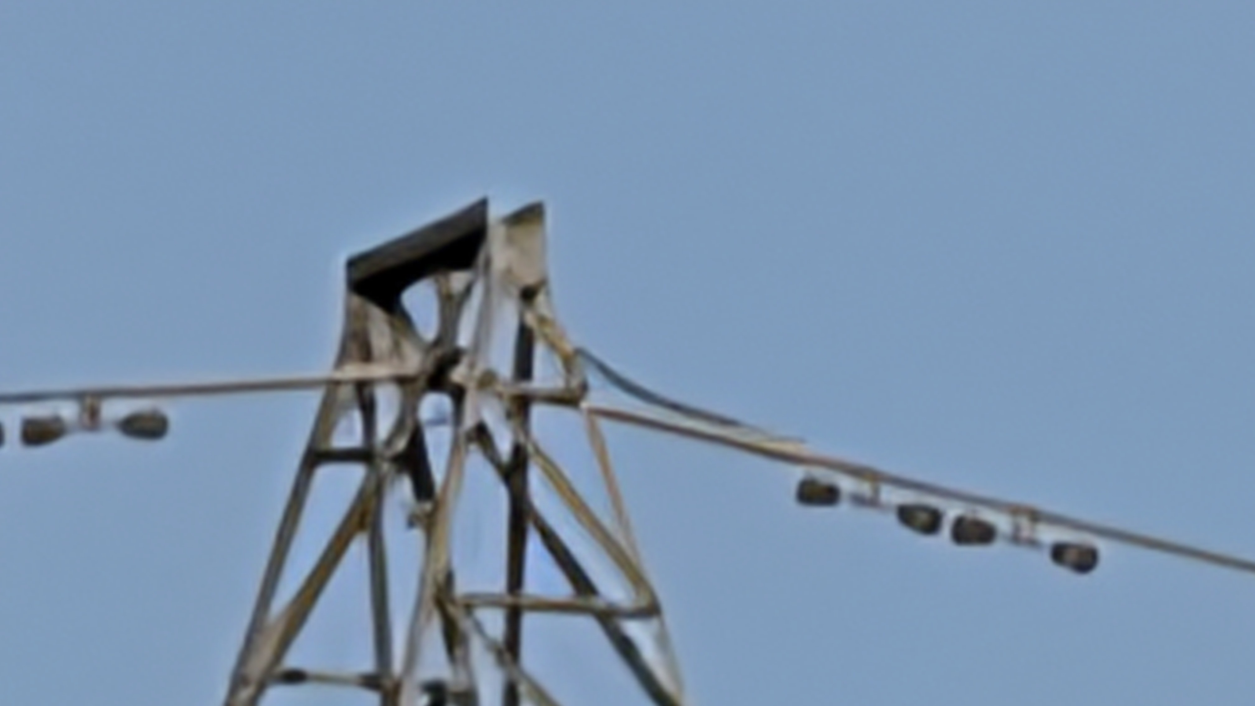 iPhone 17 pro vs Google Pixel 10 pro side by side shots