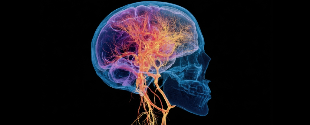 Chronic Insomnia May Spark Changes in The Brain That Trigger Dementia : ScienceAlert