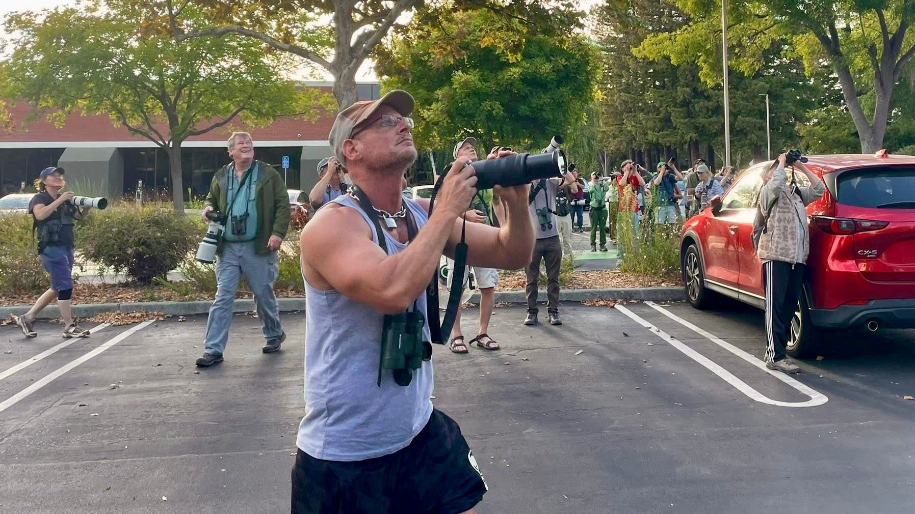 Tiny Bird From Asia Makes First-Ever California Appearance on Google Campus, Draws Crowds