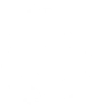 Egg icon