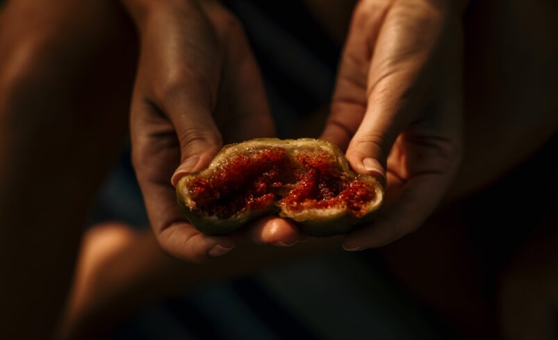 Do figs really have dead wasps in them?