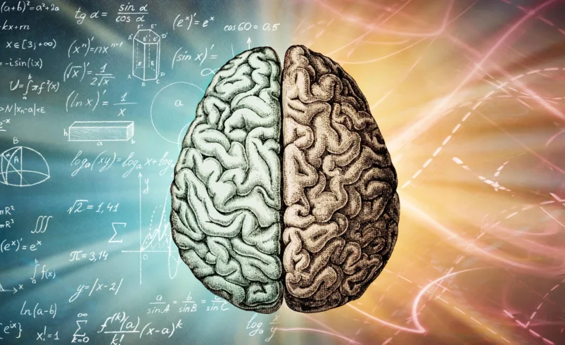 Autism may be the price of human intelligence