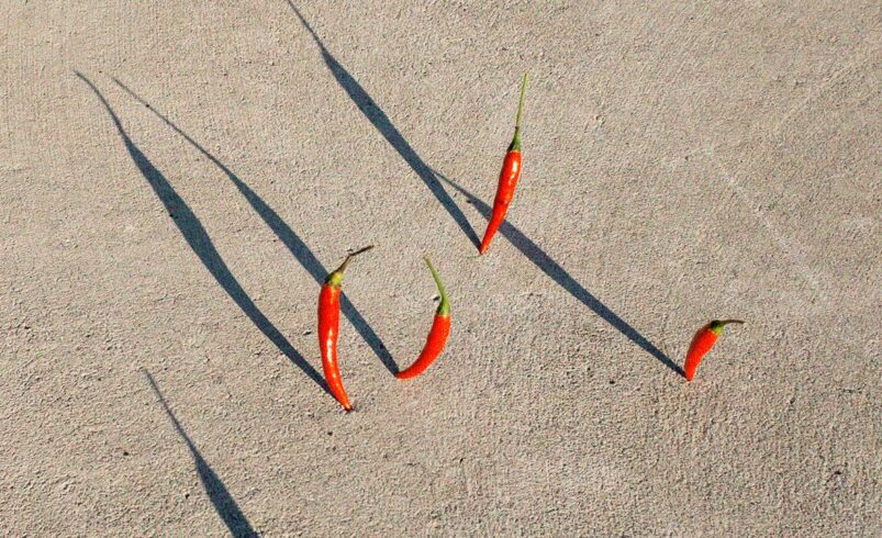 11 Delicious Vitamin A Foods to Boost Your Immune System